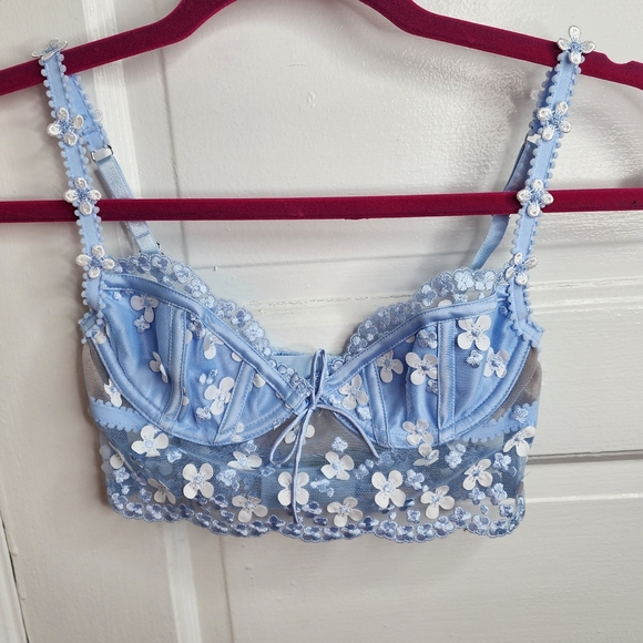 For Love And Lemons Other - For Love And Lemons Daisy Embroidered Bra Blue Floral XXS NEW